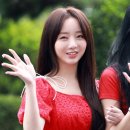 케이위 이미지