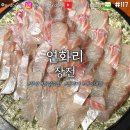 세븐일레븐 부산장전스타점 | [맛집 탐방] 부산 금정구 연화리 장전 | 고급 모듬회 (참돔, 농어, 감성돔, 돌돔)