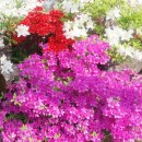 오월의 하루 이미지