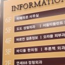 공한의원 | 발바닥 통증 족저근막염 수원시청역 한의원 바디올 다녀온 솔직 후기