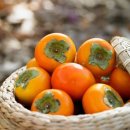 오늘 과일 이미지