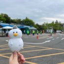 김해시 자전거 교육장 | 김해 자전거 교육장 방문기-이색 자전거 체험 현장과 일반 자전거 대여 후기