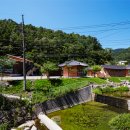 소나무(산촌마을) 이미지