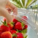 작은별어린이집 이미지