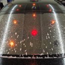 넥서스그린 이미지