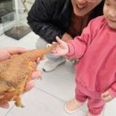 동성카프라자 이미지