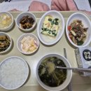 가야요양병원 | 유방암 항암 중 요양병원, 꼭 가야 할까? (직접 이용해본 솔직 후기)