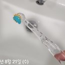 어노리 | 매복 사랑니 발치 후기 -3