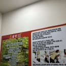 (주)릴렉스코리아 | 부산통증관리 어디서? J경락 힐링센터 어깨통증 경락 후기