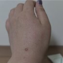 썬카클리닉 | 강순자선크림 추천 담톤 수준진정시카선크림 촉촉한 수분선크림