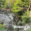 담양국수거리, 막둥이국수, 대나무아이스크림, 담양 소품샵, 선나나상점, 죽녹원, 소쇄원, 형제송정떡갈비)
