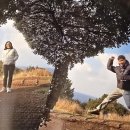 인화민박 이미지