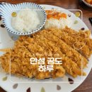 공도5로 | 공도 냉모밀과 돈까스 맛집 하루 점심 먹고 온 솔직 후기(내돈내산)