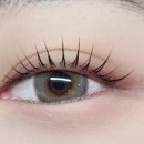 다온래쉬 이미지