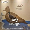 버드랜드 | [서산] 충남 서산 실내갈만한곳 버드랜드 후기