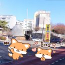 고봉산재래한증막 이미지