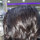 헤어랜드 이미지