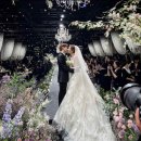 세븐 랜드 이미지