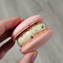 인천 마카롱 에그타르트 맛집 얌얌얌팩토리 :: 내가 제일 좋아하는 마카롱 집!