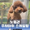 과천우주동물병원 이미지
