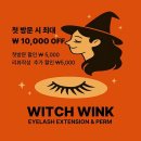 윙크속눈썹