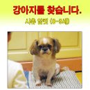 고강동 12 Daum카페