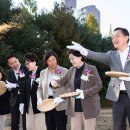 수원-1993 이미지