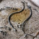 네바퀴카센타 이미지