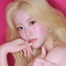 인썬 카카오 검색결과