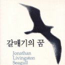 갈매기의꿈