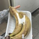 백마오피스 이미지