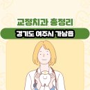 경기도 여주시 가남읍 교정치과 총정리