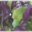 산지물호텔 이미지