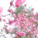 경빈