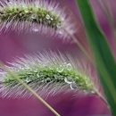 그림풍경 이미지