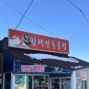 함백산돌솥밥 | 정선 하이원 찐맛집 | 함백산돌솥밥 : 곤드레돌솥정식 내돈내산 후기