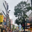 차이나타운 이미지