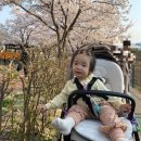 둔촌온누리약국 | 천호현대코아(천호현대아이파크) 아파트 장단점 요약 - 25평 전세 4년 후기