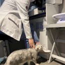 한마음동물의료원 이미지