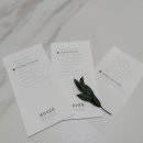 딥포레스트 이미지