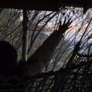 트리하우스 | [평택 트리하우스] 내돈내산 솔직 후기🌳