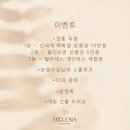 에클레시아클래식필라테스