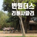 호이안 빈원더스 리버 사파리