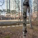 한가람초교 이미지