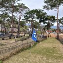 ＜구장 탐방 78＞ 경북 청도군 티욤핑크 청도파크골프농장을 가보다 이미지