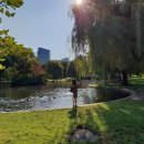 너스베이글 이미지