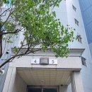 신반포로45길 71 이미지