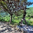 서당골산 등산로 | [경상남도 밀양시] 밀양영안지