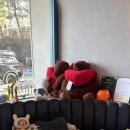 키즈호텔 상상플레이 등억점 이미지