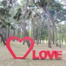 송호관광지 이미지